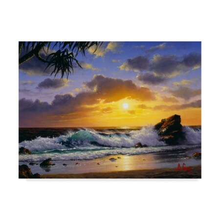 Trademark Fine Art Anthony Casay 'Coast Line 11' Canvas Art, 18x24 ALI20285-C1824GG